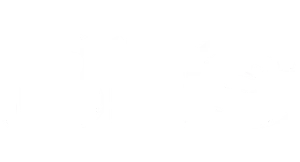 BLO Car Dryer